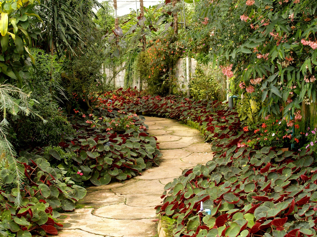 a pathway across a garden