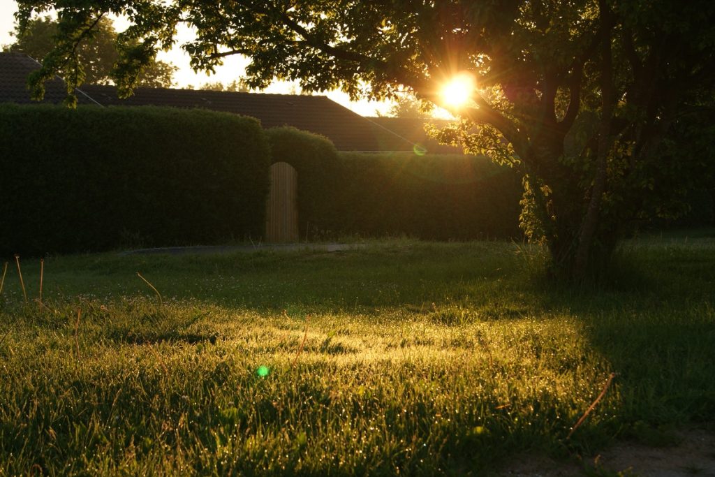 backyard outside property