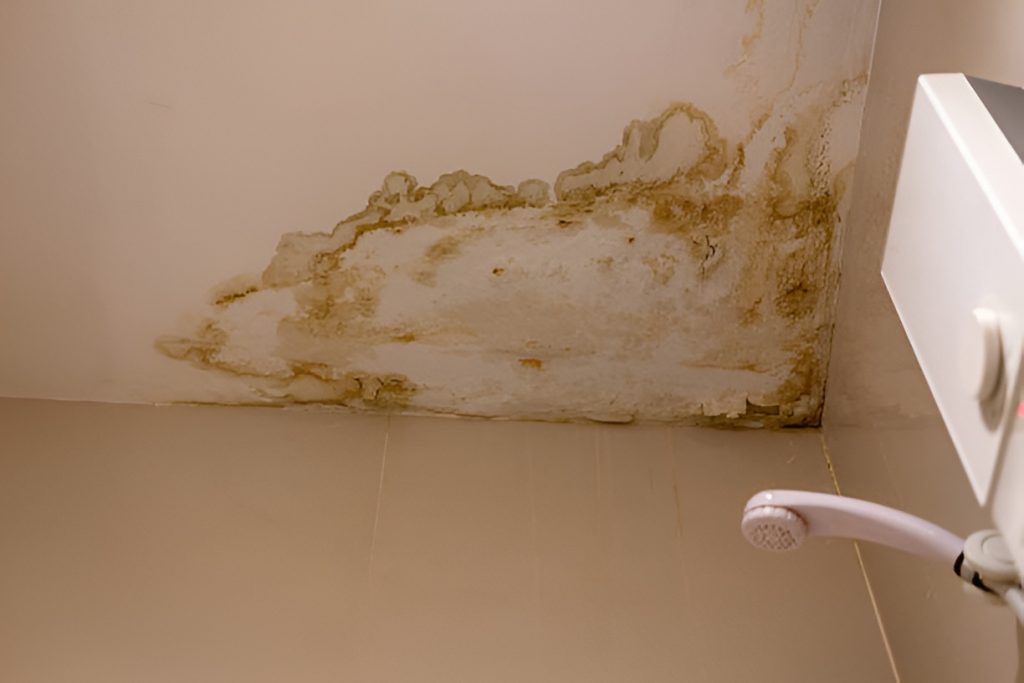 moldy ceiling above a showerhead